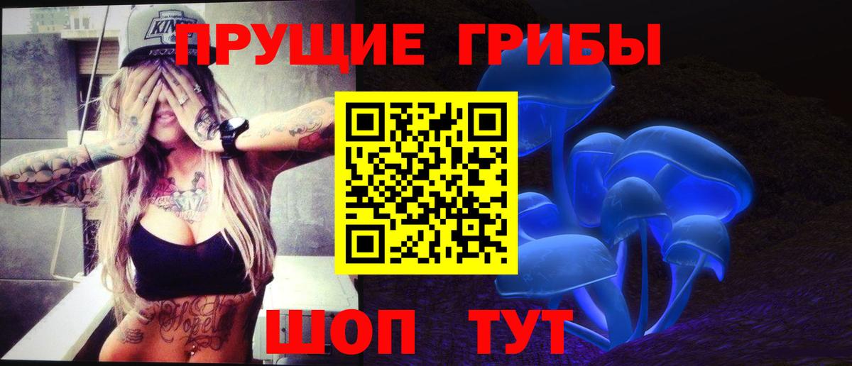 Берёзовский  Галлюциногенные грибы Cubensis  купить закладку  Вход с VPN 