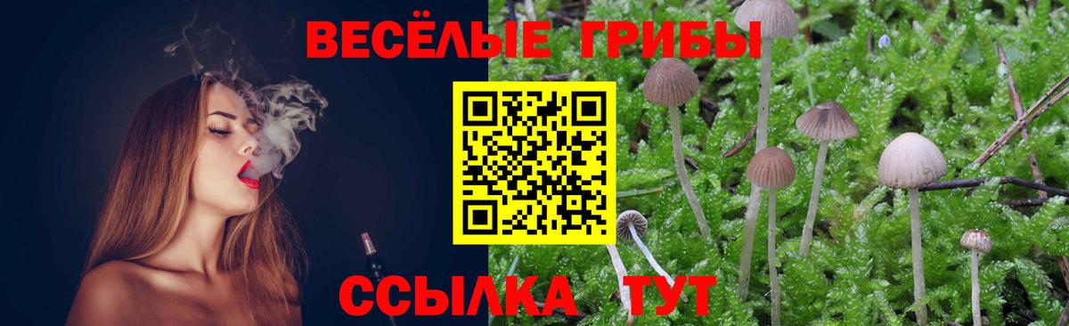 Псилоцибиновые грибы MAGIC MUSHROOMS Берёзовский